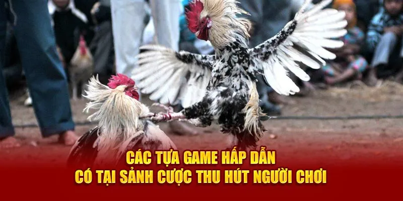 Các tựa game hấp dẫn có tại sảnh cược thu hút người chơi